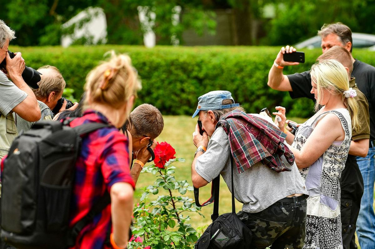 Persone di età diverse, vicine tra loro, fotografano insieme dei fiori in un giardino