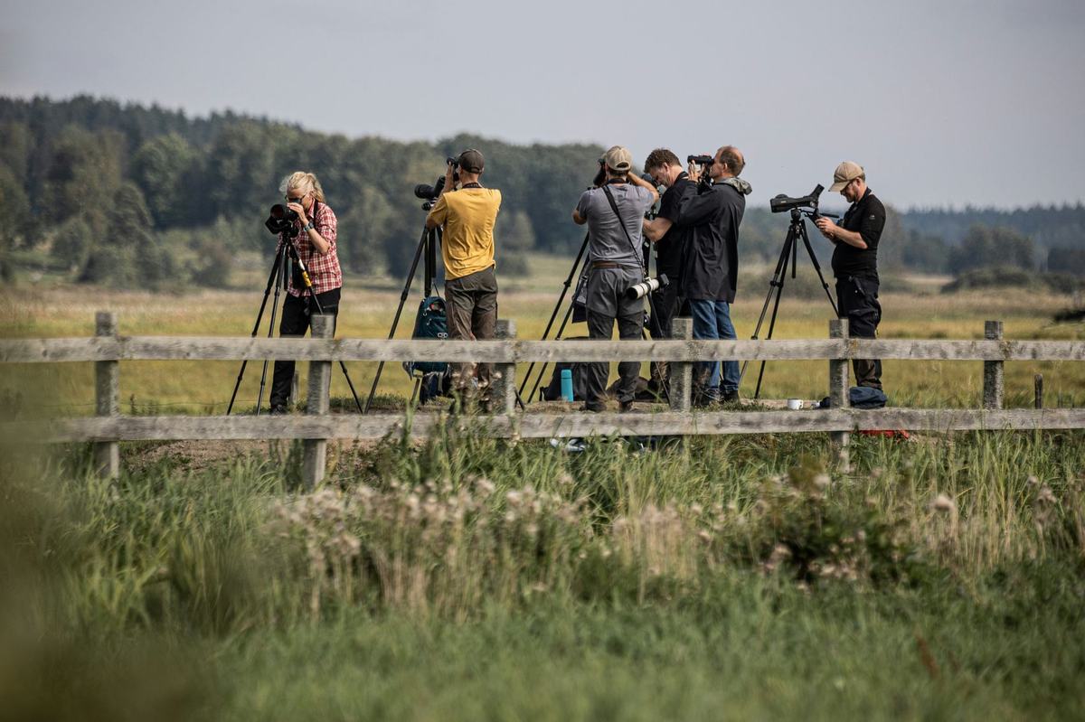 Un gruppo di persone fotografa all'aperto, con macchine fotografiche e treppiedi